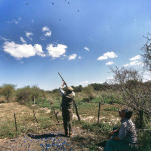 Dove Shooting Argentina May 2020