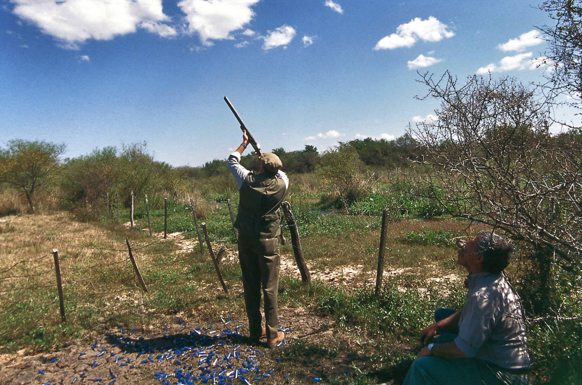 Dove Shooting Argentina May 2020